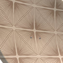 Satellitenschüssel Grafik