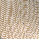 Satellitenschüssel "Pea Row"