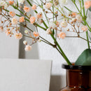 Wandspiegel Nussbaum 01